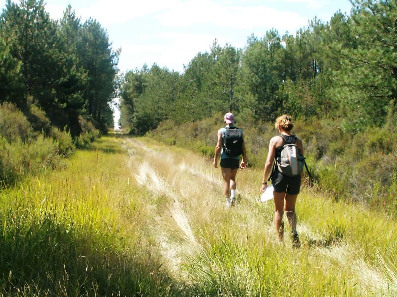 Rando été Brenne - 3
