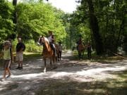 Chevaux