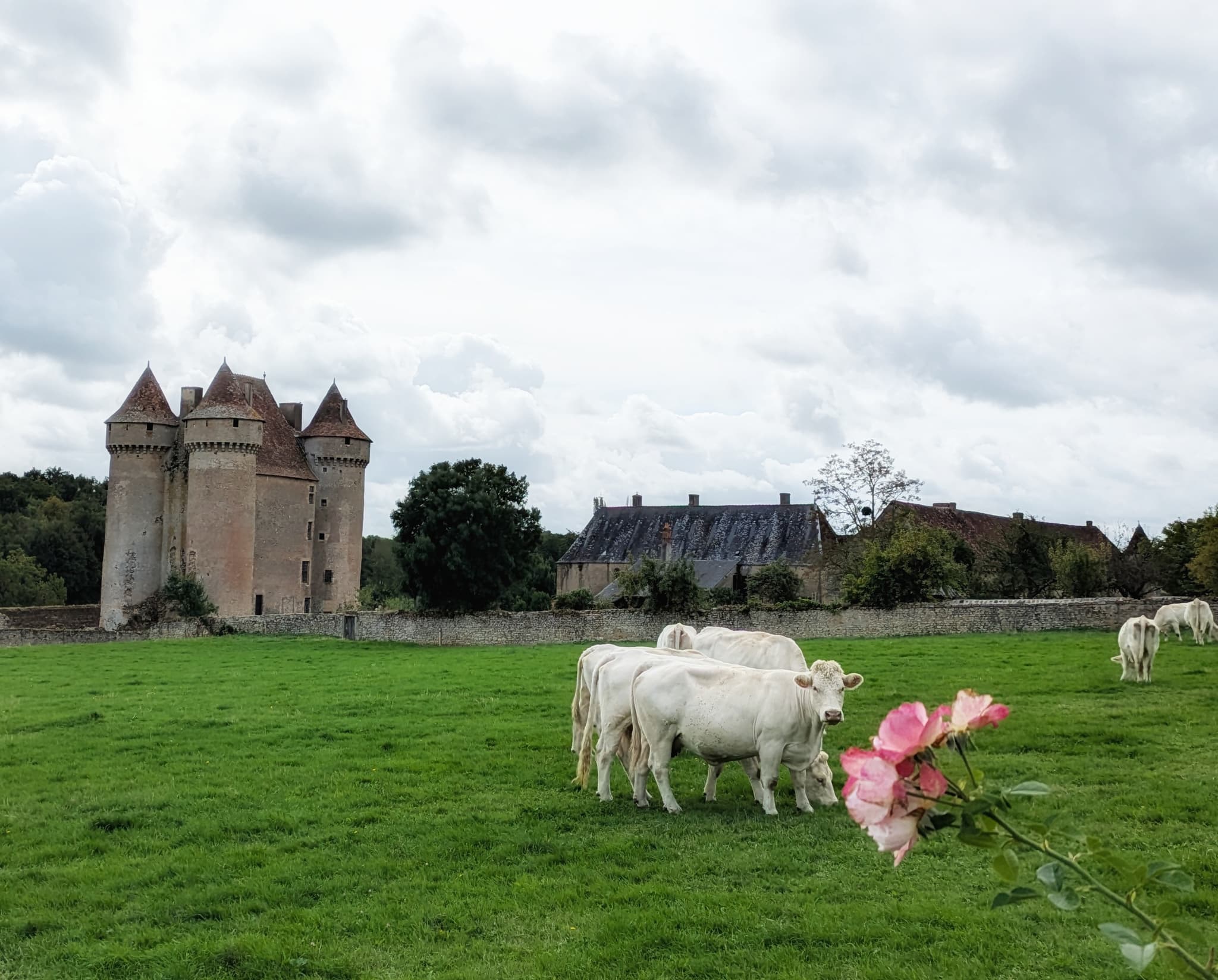 SARZAY CHATEAU