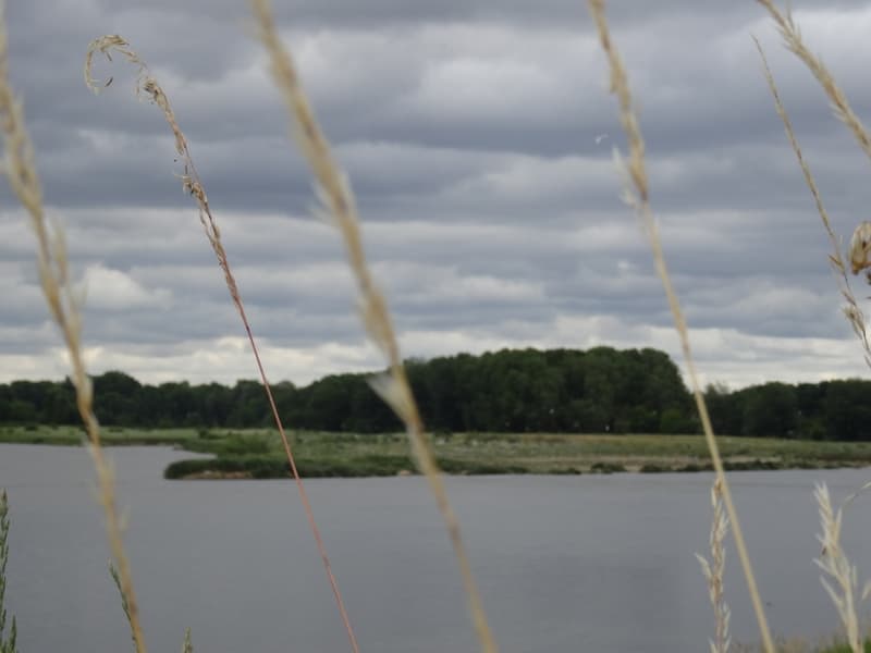 L'île aux oiseaux à Sandillon