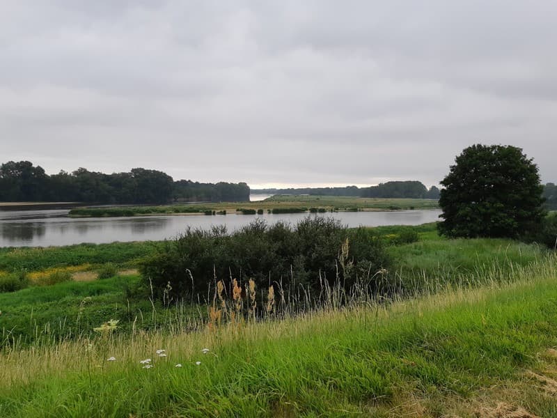 L'île aux oiseaux à Sandillon