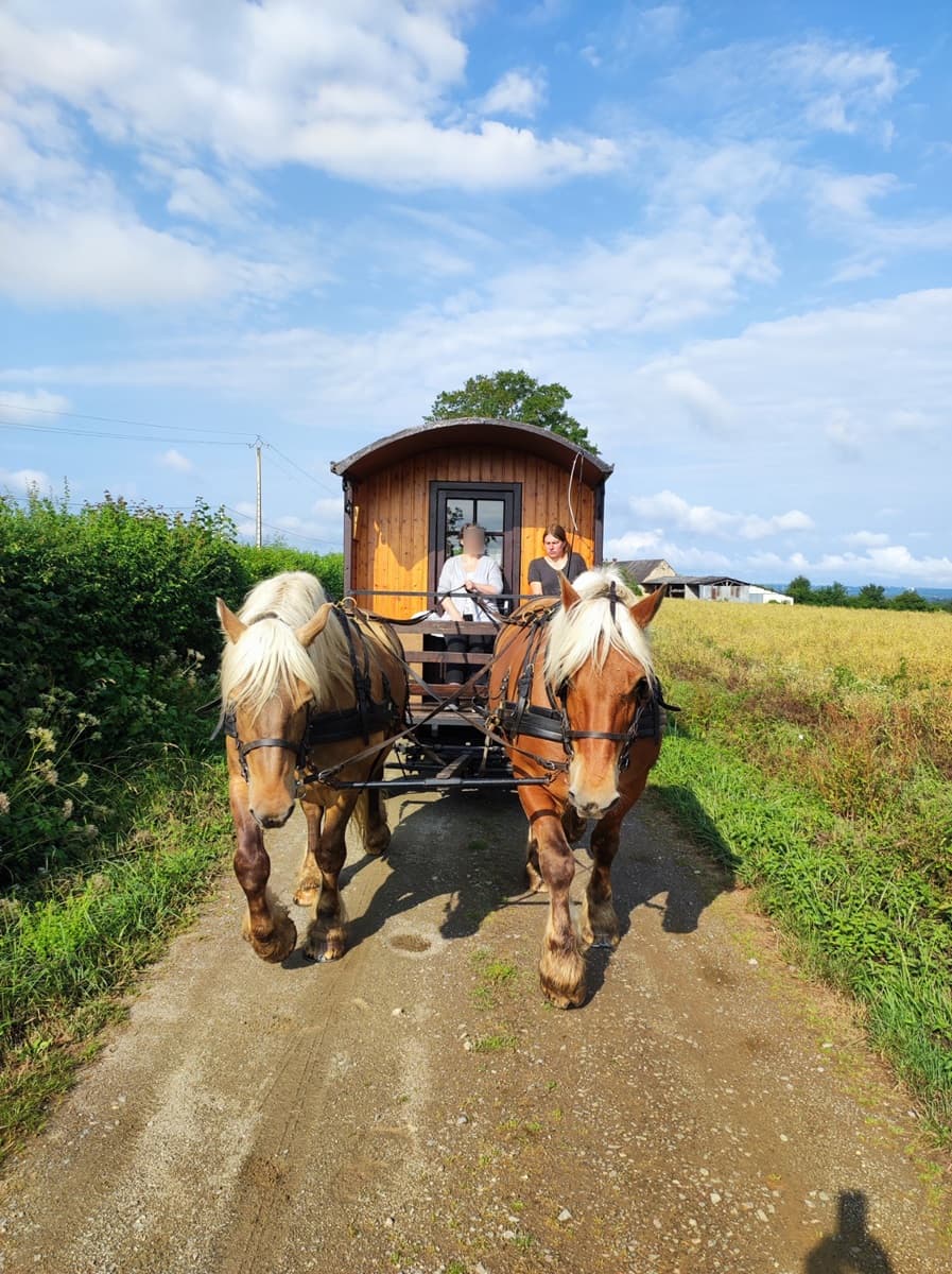 vacances en roulotte location cheval