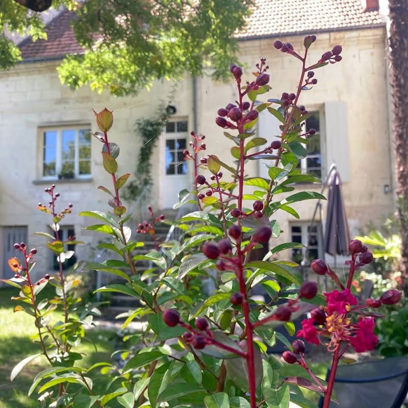 Gite Saint-Joseph - Loches Touraine Val de Loire