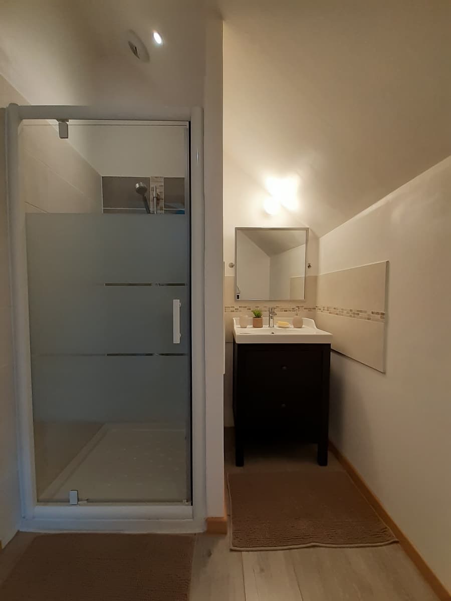 CHOUZE SUR LOIRE- LA GRANGE DE LA HURTAUDERIE-Salle de douche 1