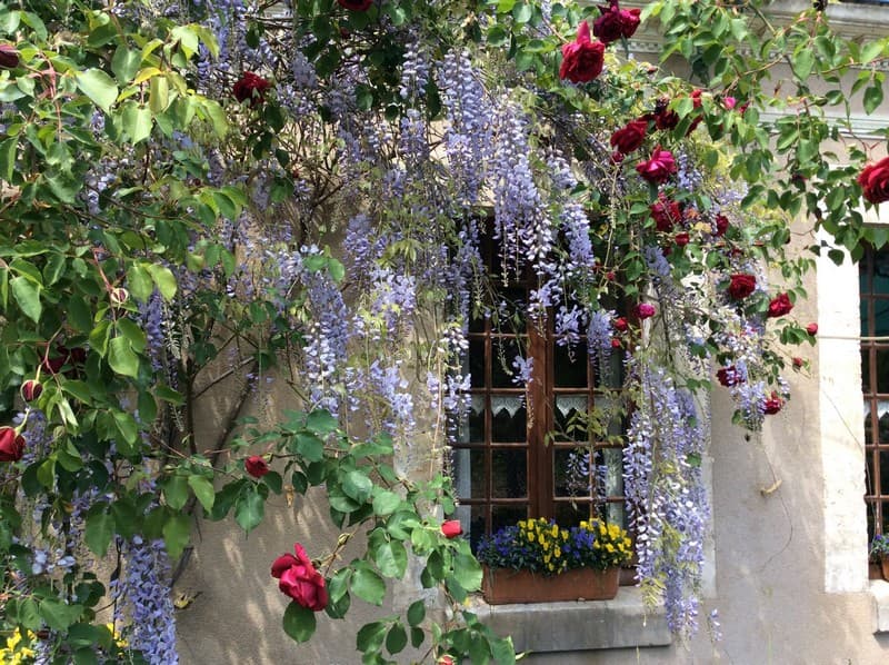 Chambres côté jardin à Villiers-sur-Loir