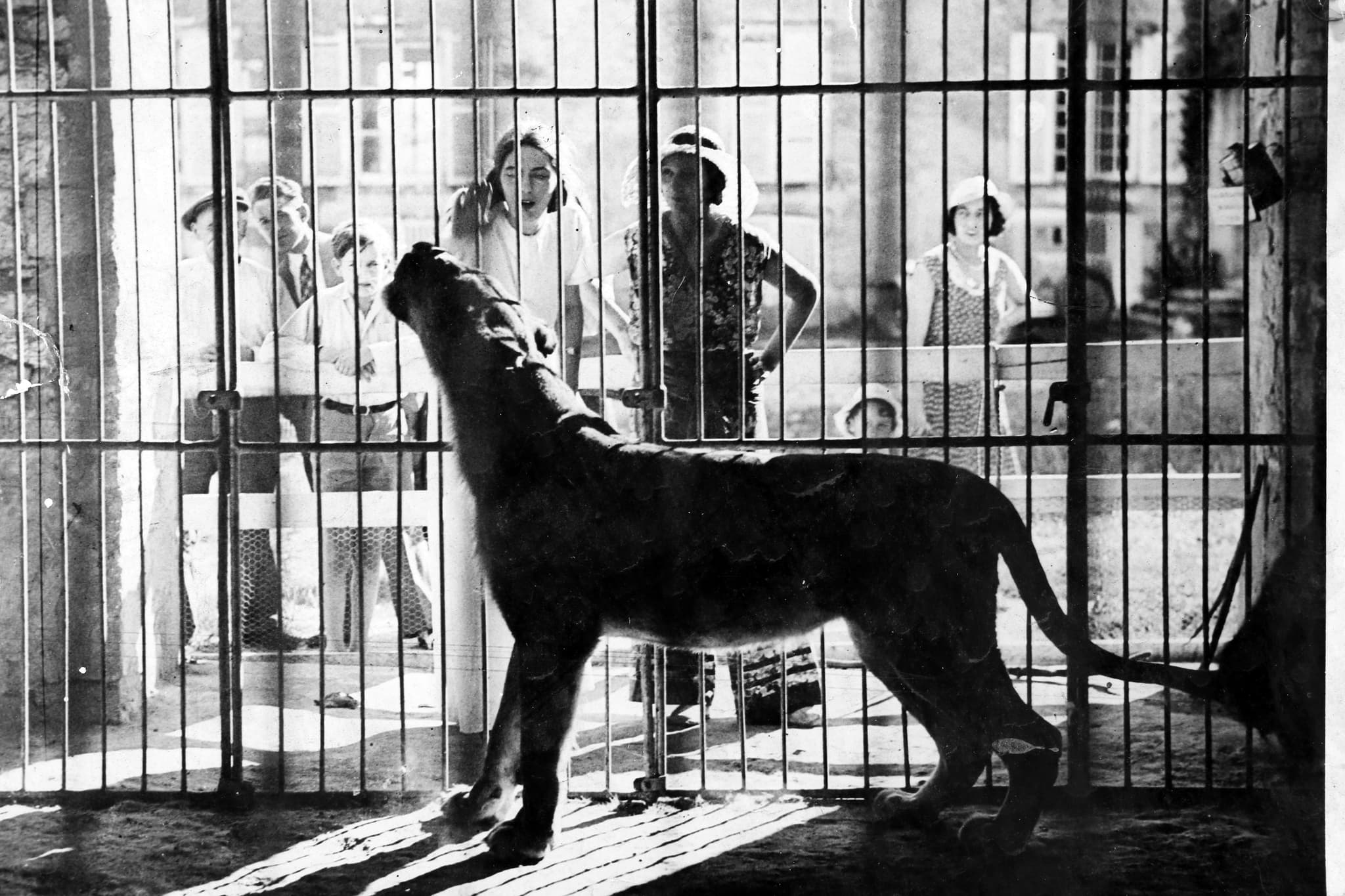 Grange aux lions