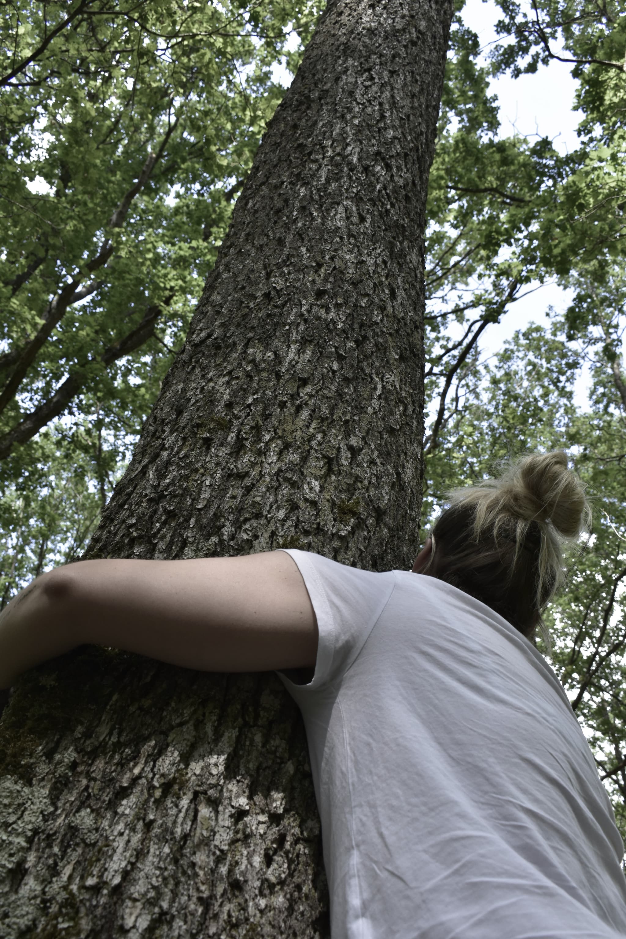 Se ressourcer dans la forêt