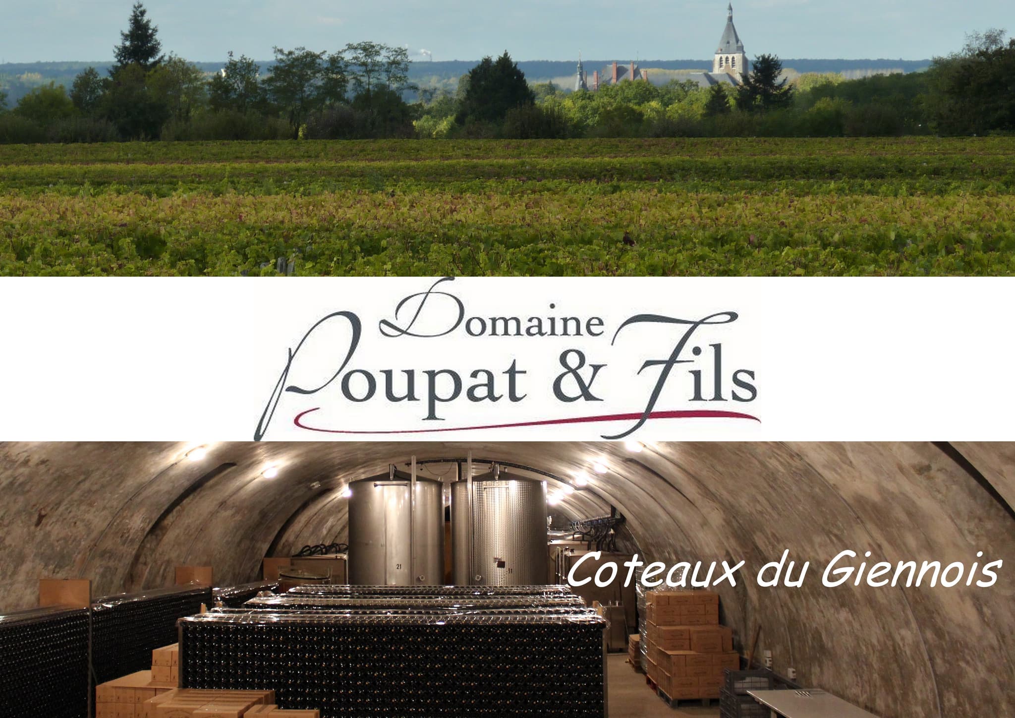 Briare - Domaine Poupat et fils - présentation
