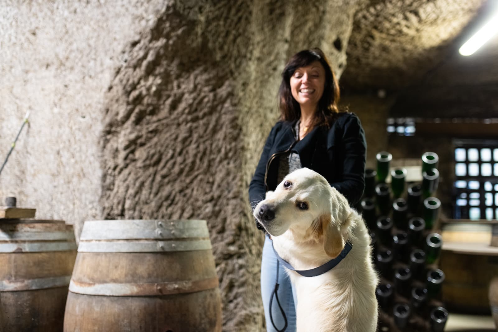 Domaine dud Grand Moulin Seneau et Fils