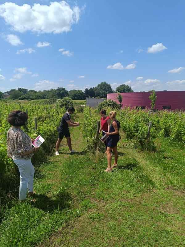Sentier pédagogique - Pierre & Bertrand Couly - Chinon