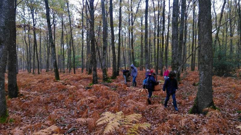 Sortie Champignons-CPIEBB