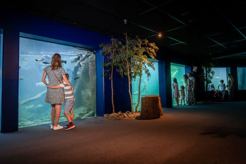 Aquarium de Touraine