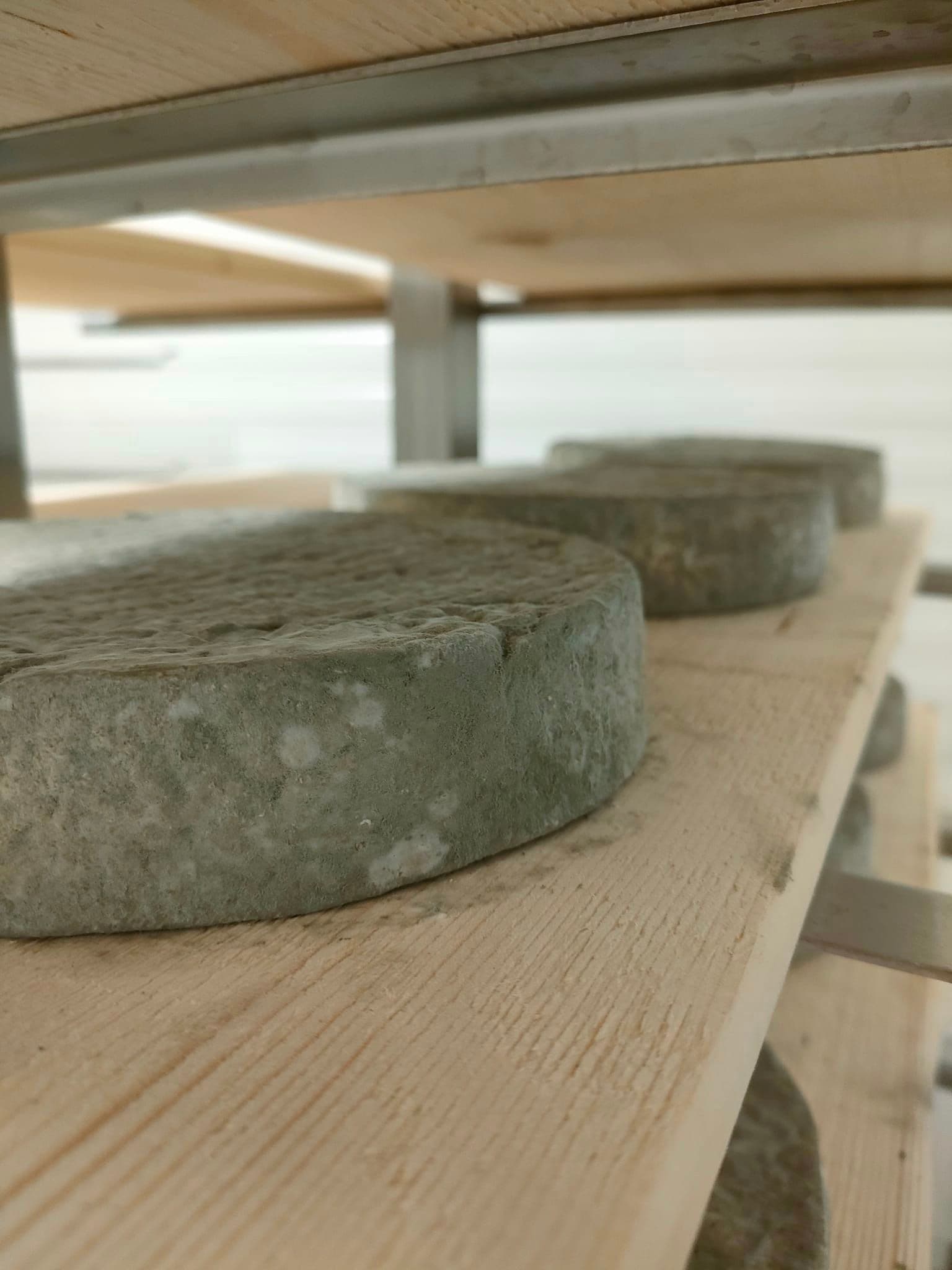 Tomme
