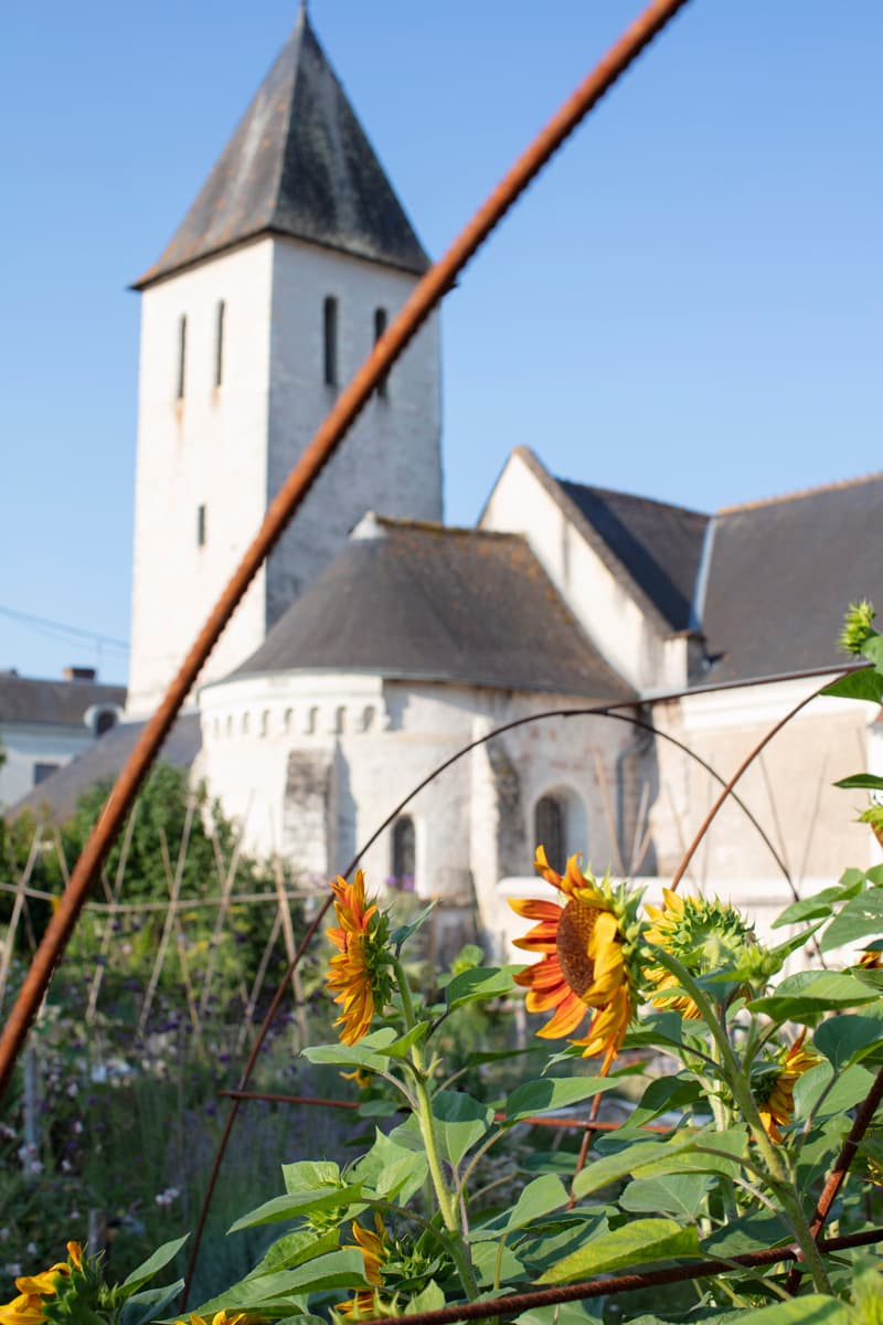 Jardin Tournesol
