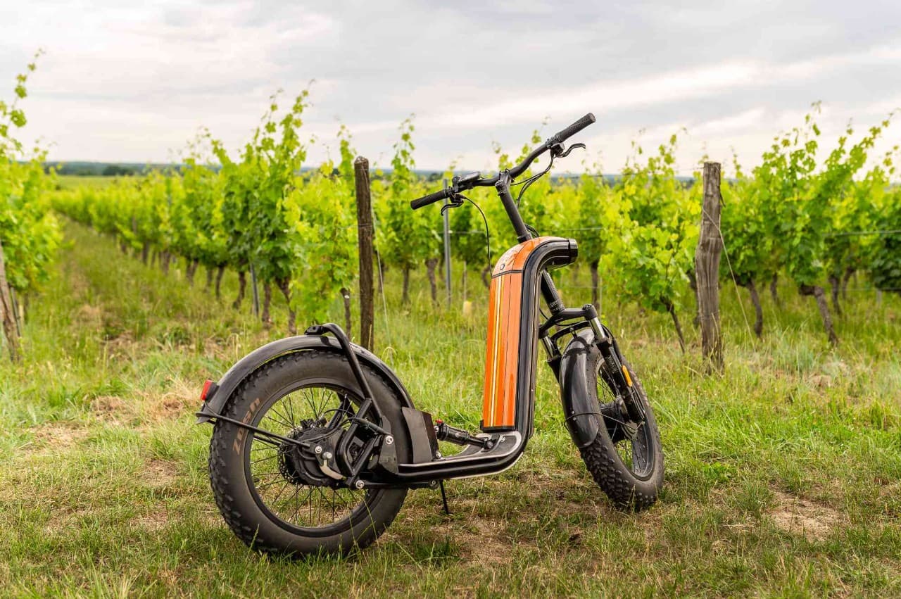 Trottinette tout-terrain dans les vignes