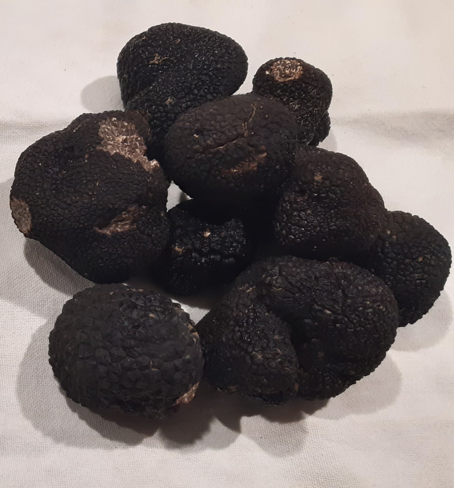 Truffière des Banchets