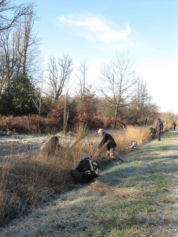 Vannerie-Initiation Stage CPIE Brenne-Berry
