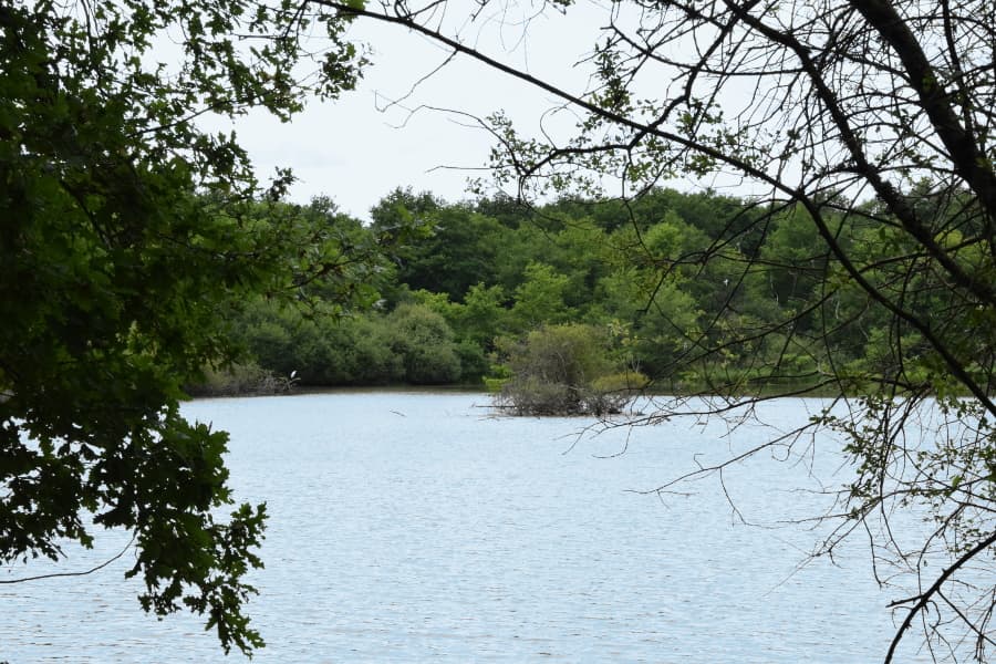 Vannes sur Cosson étang
