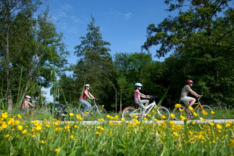 Location de vélos - Orgères-en-Beauce