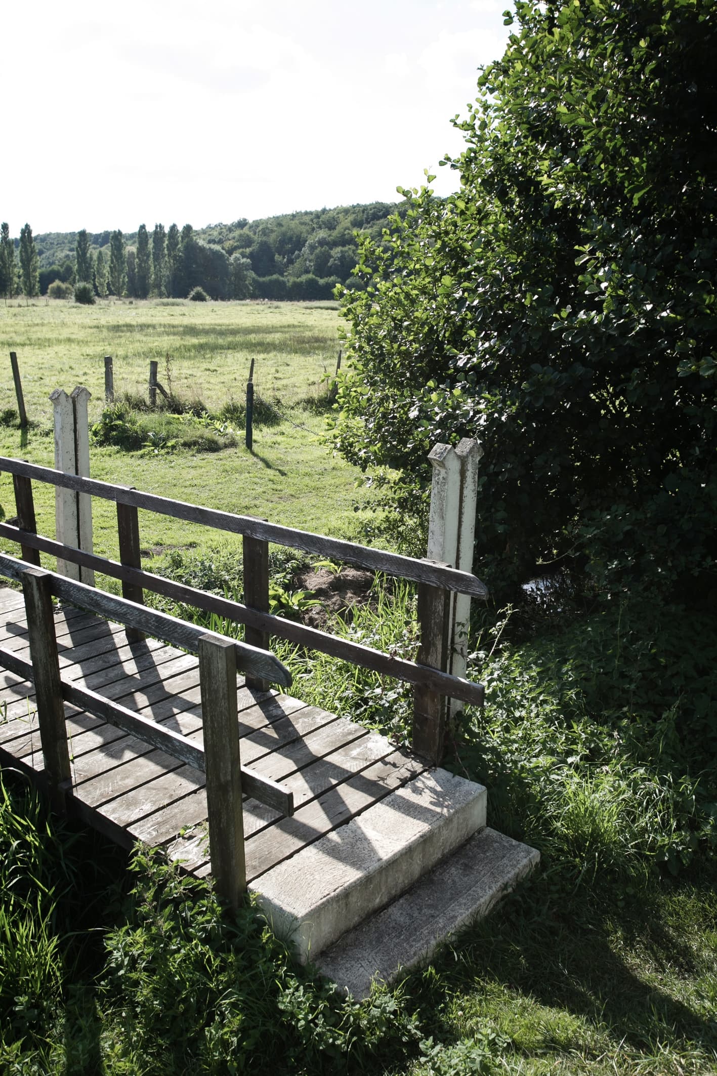 Ville_Territoire_Berou_la_Mulotiere-006