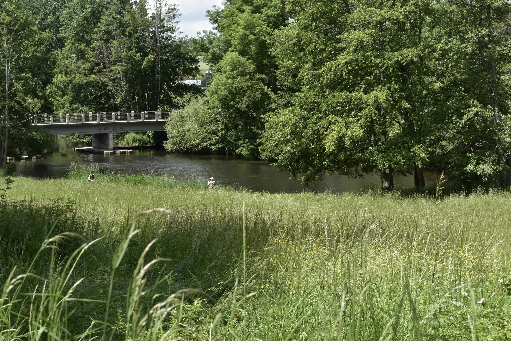 Visite Pont Hoddé (1)