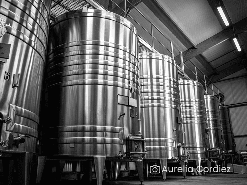 Visite du domaine