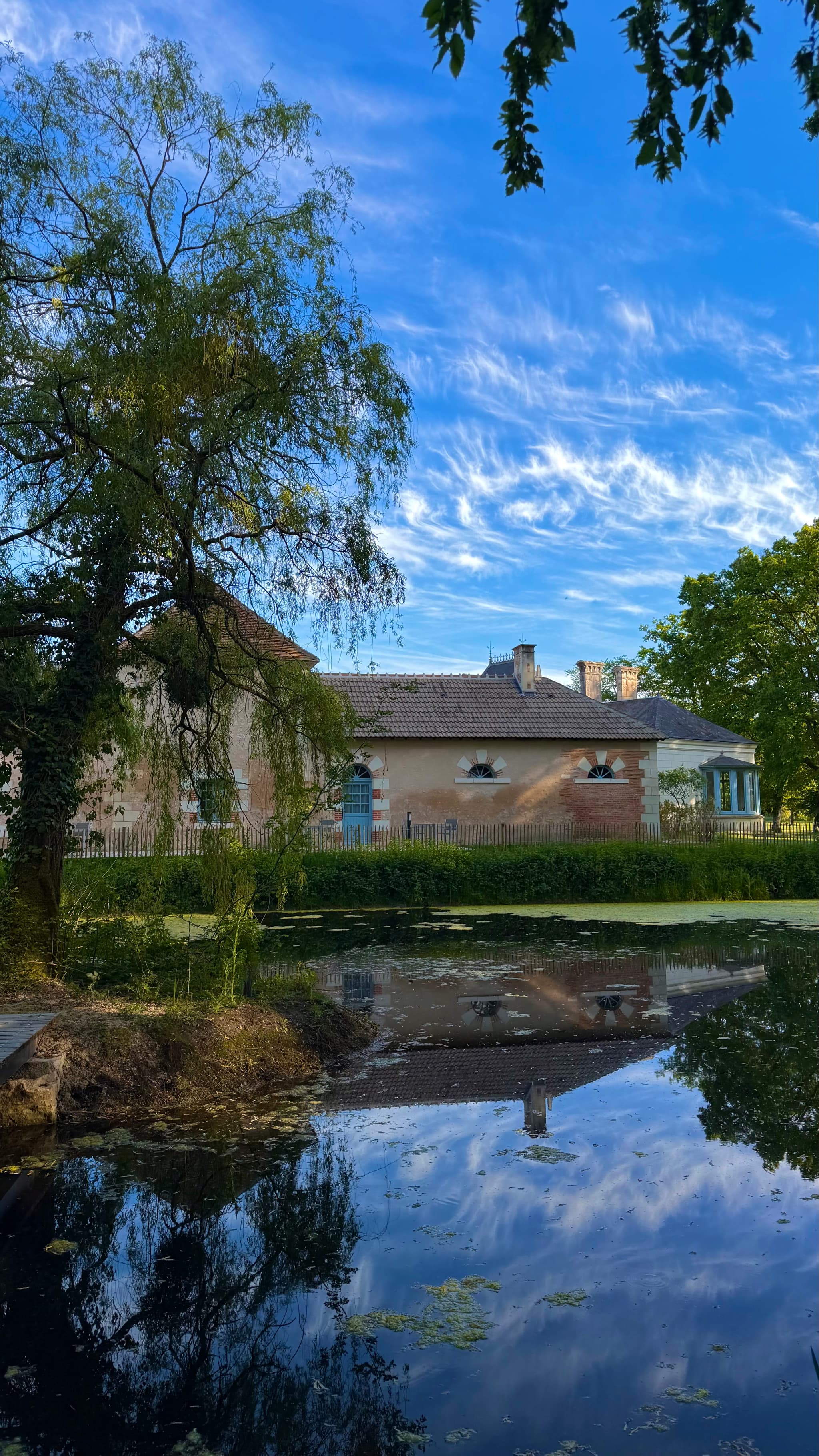 Vue extérieure avec étang