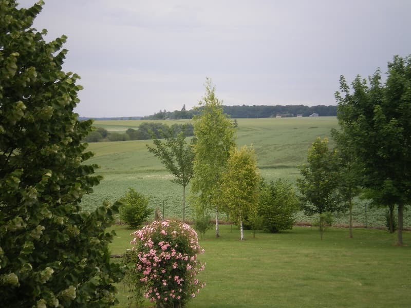 Vue jardin-Cussay
