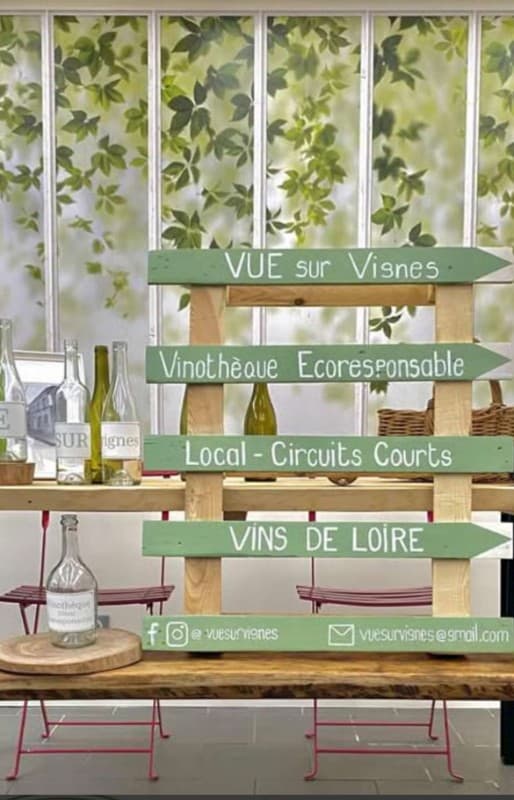 Vue sur vignes 3