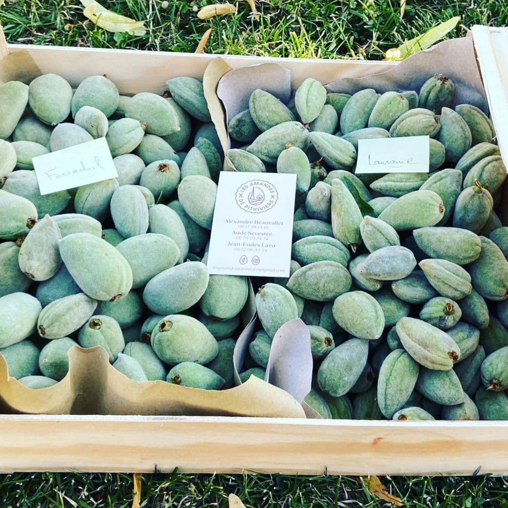 amandes fraîches