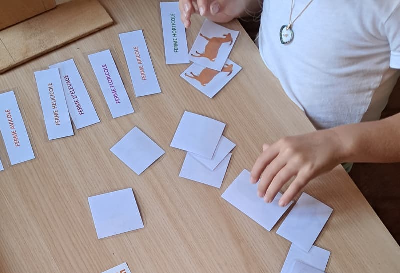 animation les fermes et l'alimentation
