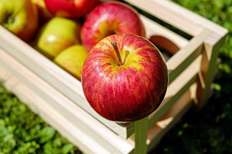 apple-2