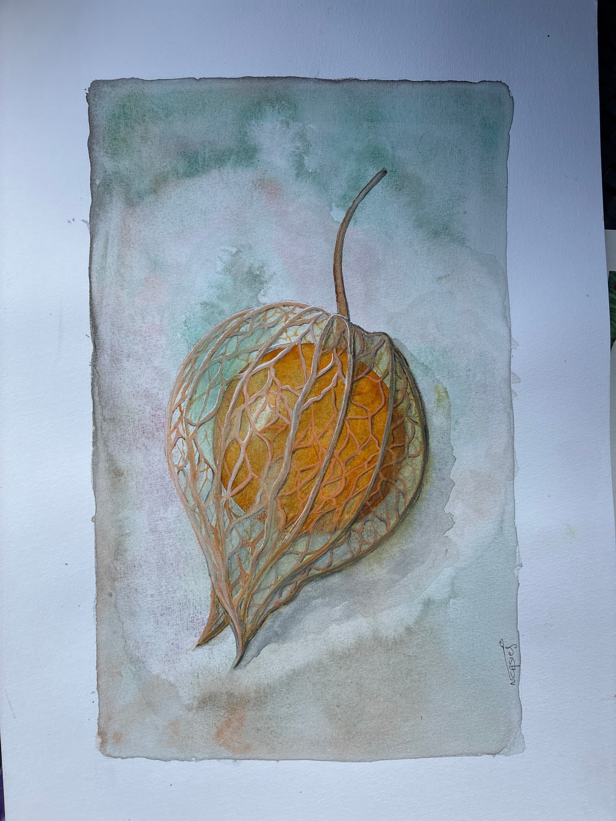 aquarelle nicole casies