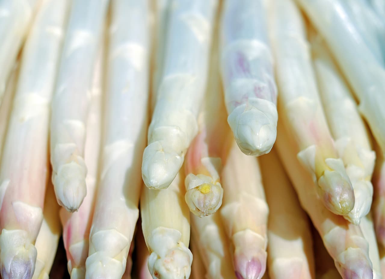 asparagus-2329467-1280