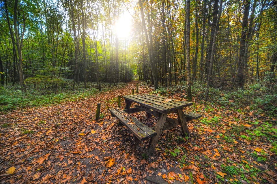 bench-2881199-960-720-2