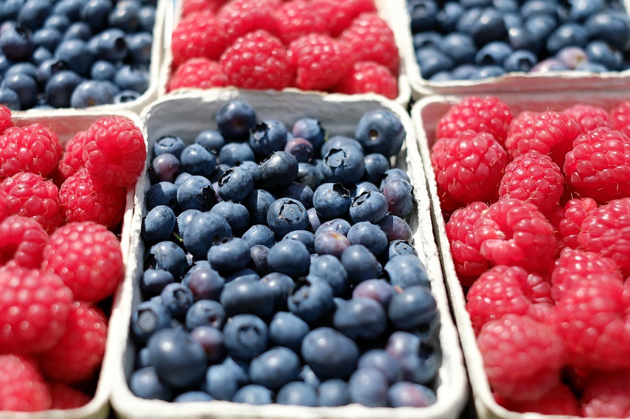 berries-1493905-1280-2
