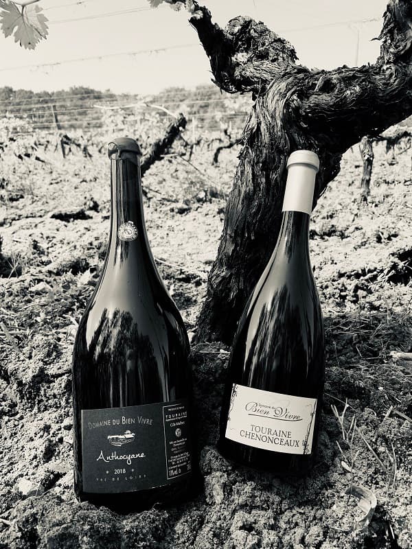 Domaine-du-bien-vivre-St-Romain-sur-cher