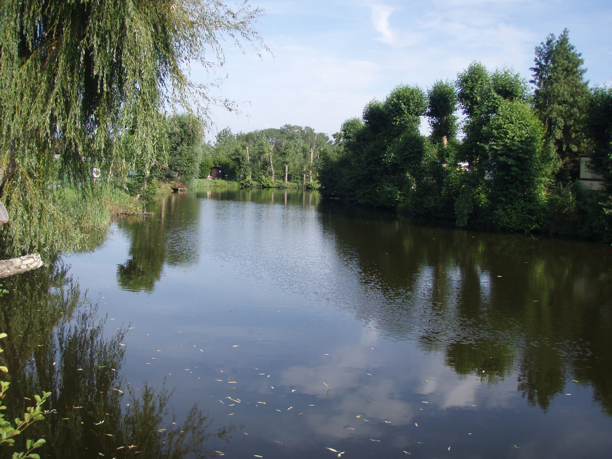 bord etang (2)