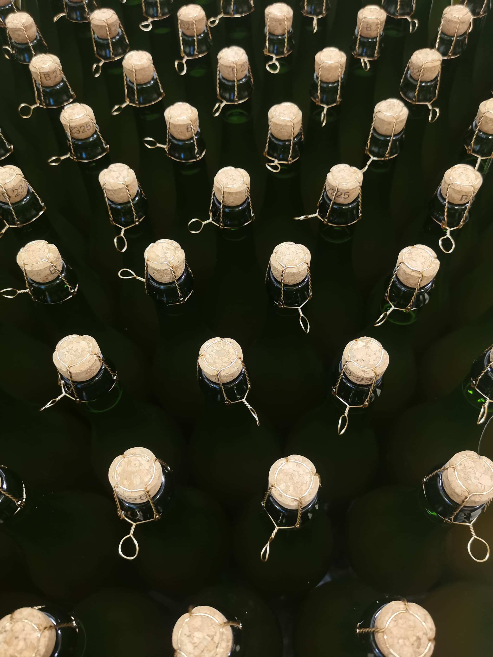 bouteilles