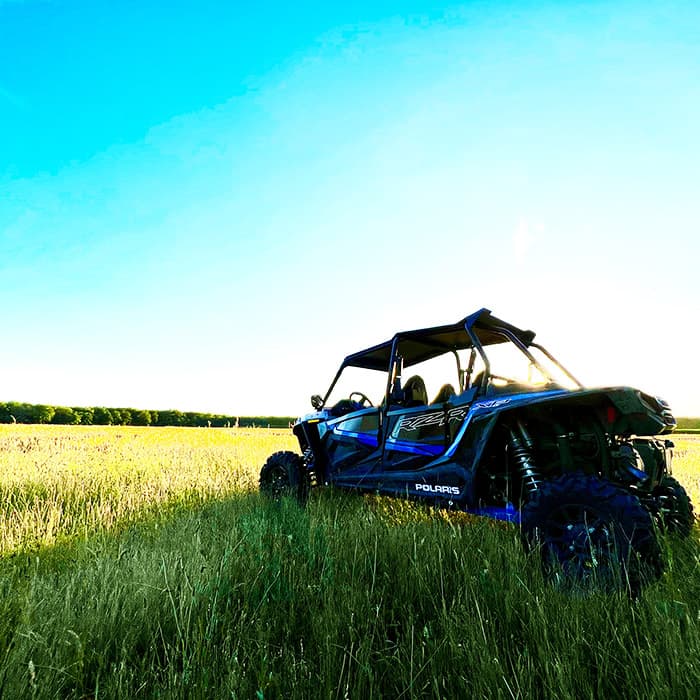 buggy_en_folie_square18