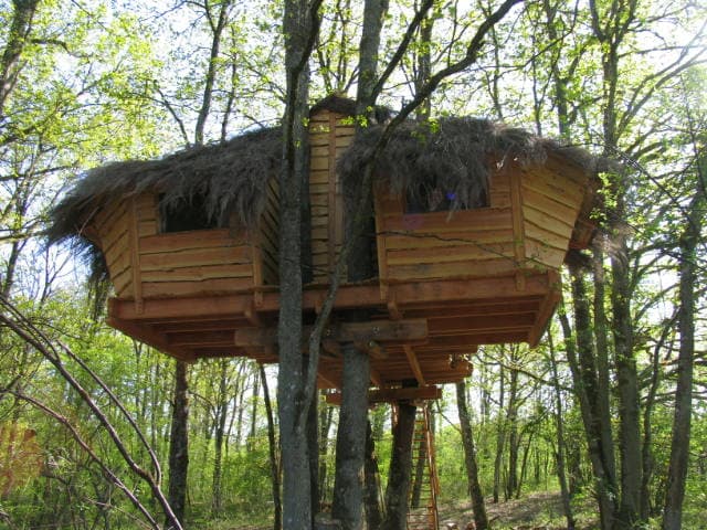 cabane 1