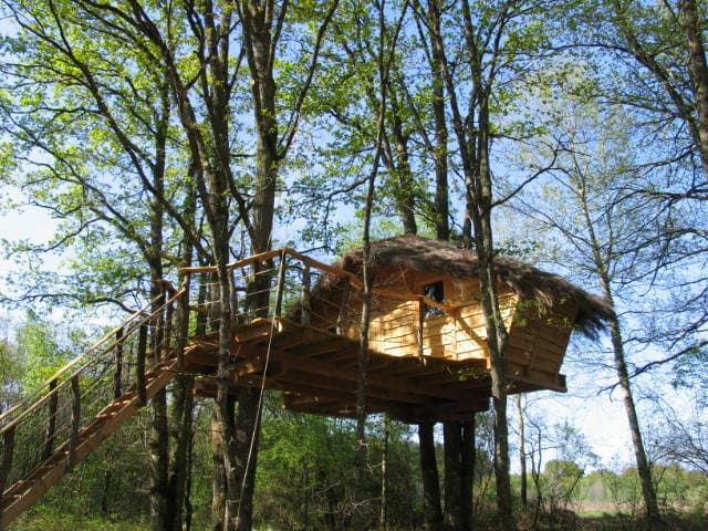 cabane 4