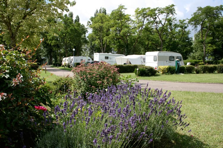 camping-5