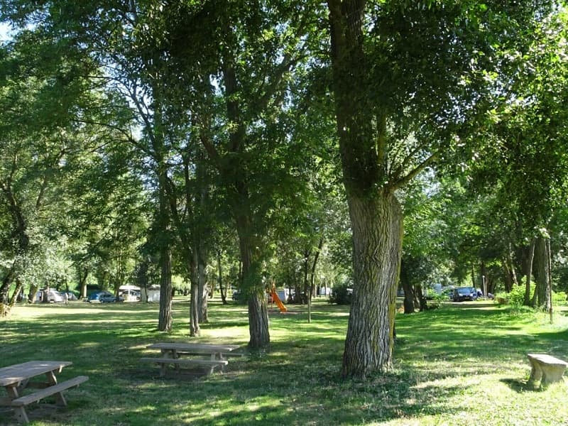 Camping Municipal des Bords de Loire