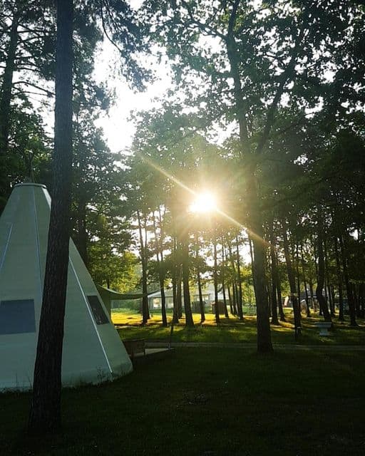 Camping Parc de Nibelle