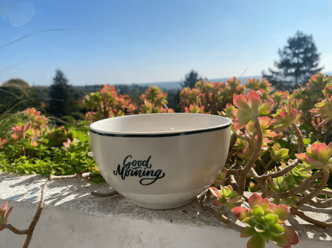 Petit-déjeuner au soleil sur la balcon