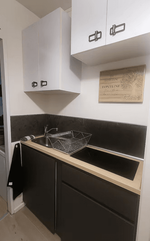 Cuisine avec plaques de cuisson ultra-rapide