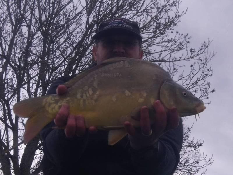 carpe_feeder_01
