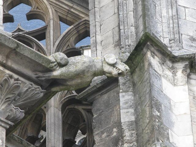 cathedrale sainte croix gargouille chien