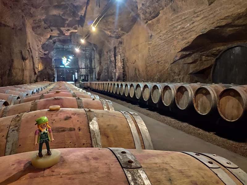 Cave Monplaisir - Chinon